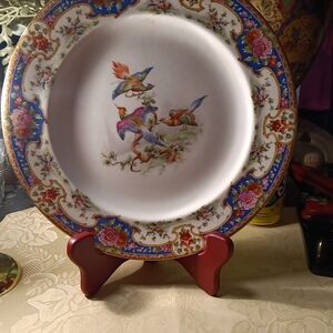 Elegant Multicolor Porcelain Dinner Plate